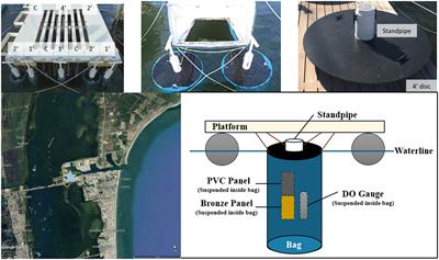 Investigation of the impact of increased size and volume of encapsulation for long-term fouling control